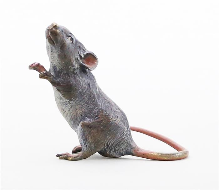Wiener Bronze "neugierige Ratte".