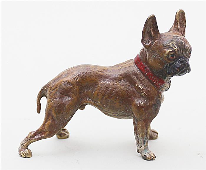 Wiener Bronze "französische Bulldogge".