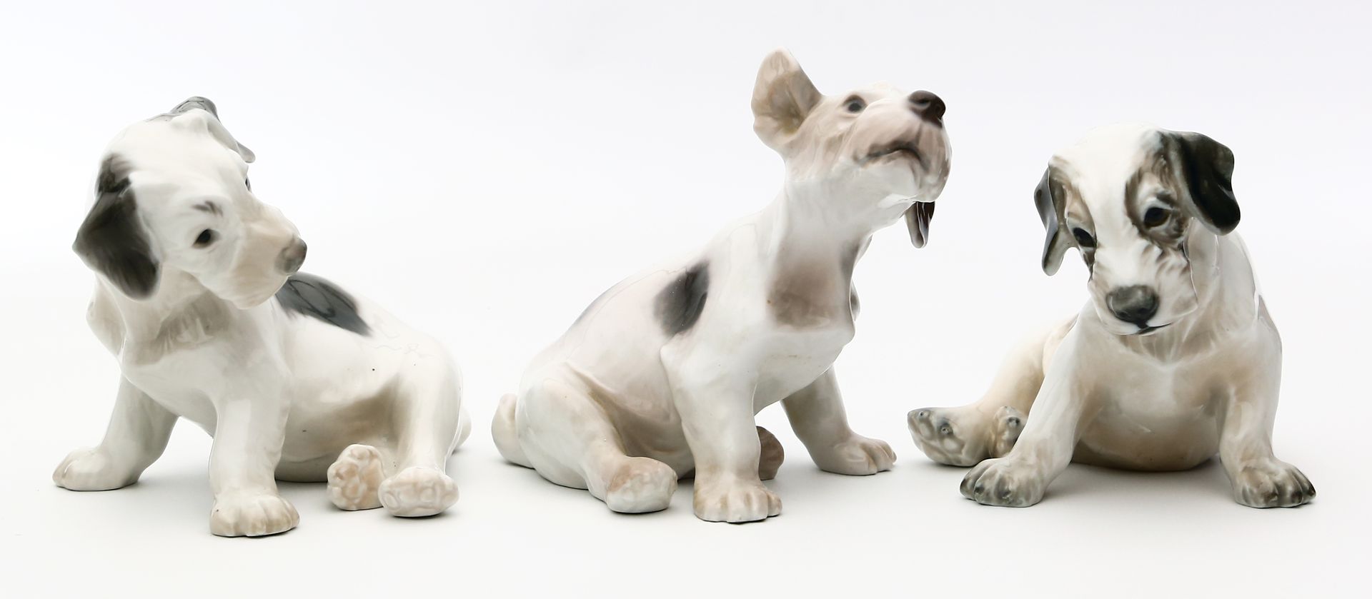Drei Hundewelpen "Terrier", Kopenhagen.