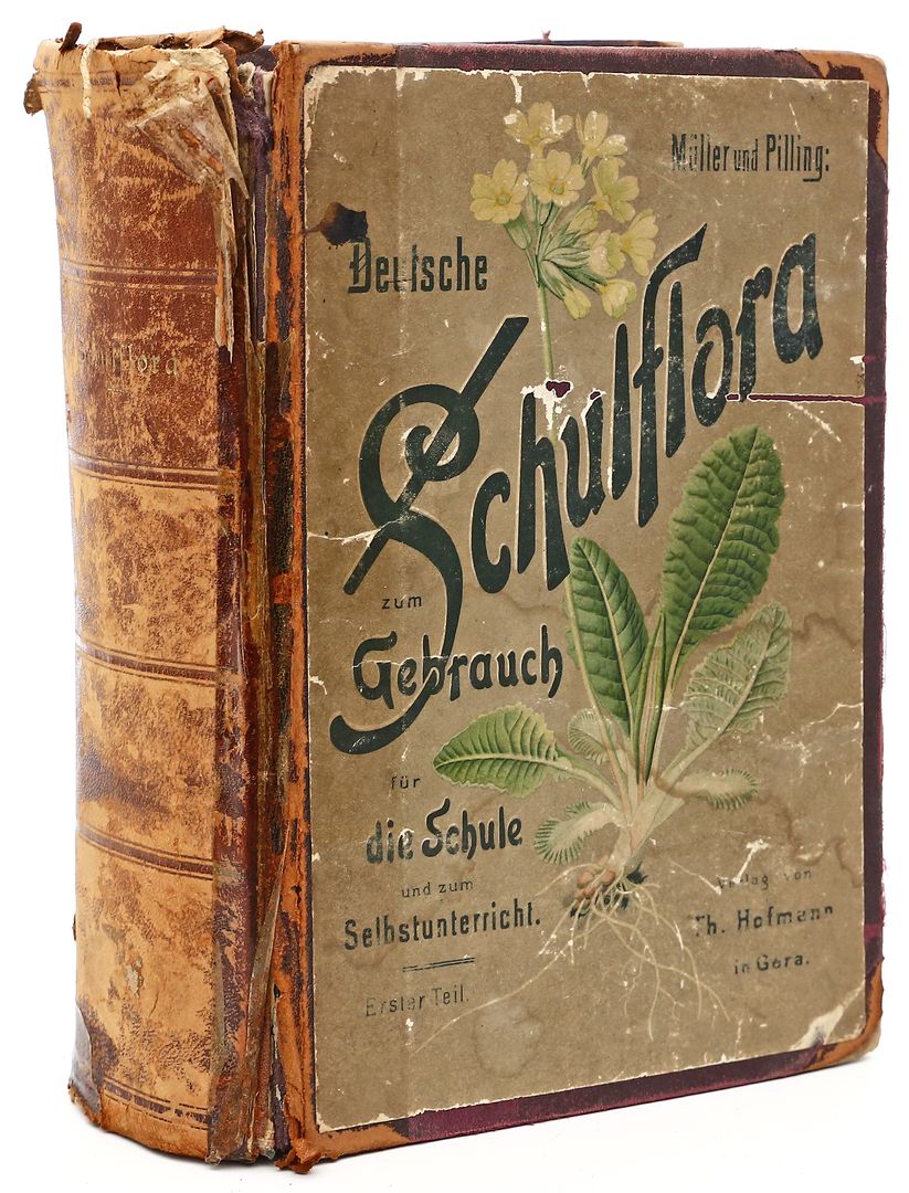 Müller und Pilling: "Deutsche Schul-Flora",