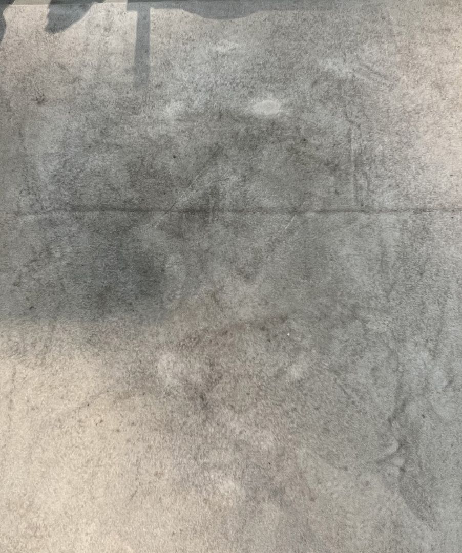 Großer, monochrom-grauer Teppich, ca. 320x 320 cm.